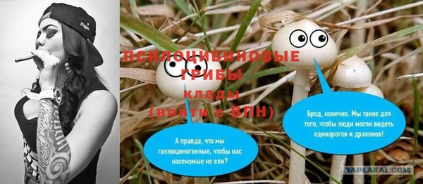 сатива Абаза