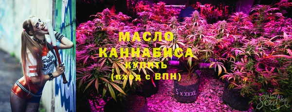 сатива Абаза