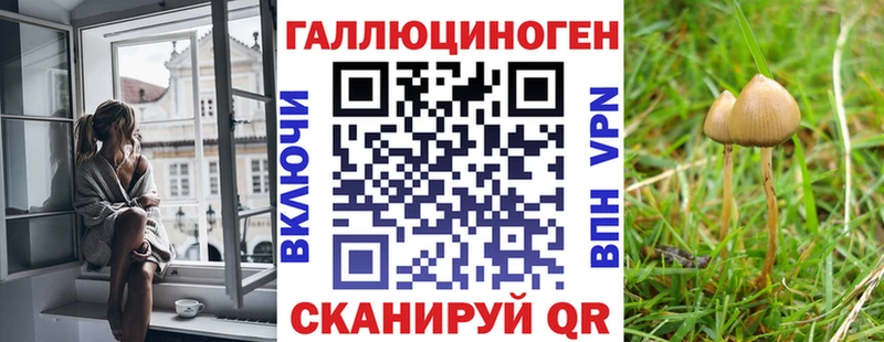 Галлюциногенные грибы Psilocybine cubensis  Таштагол 